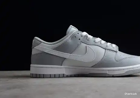 Dunk Tone Two NNike Low DJ6188-001 Grey 0608